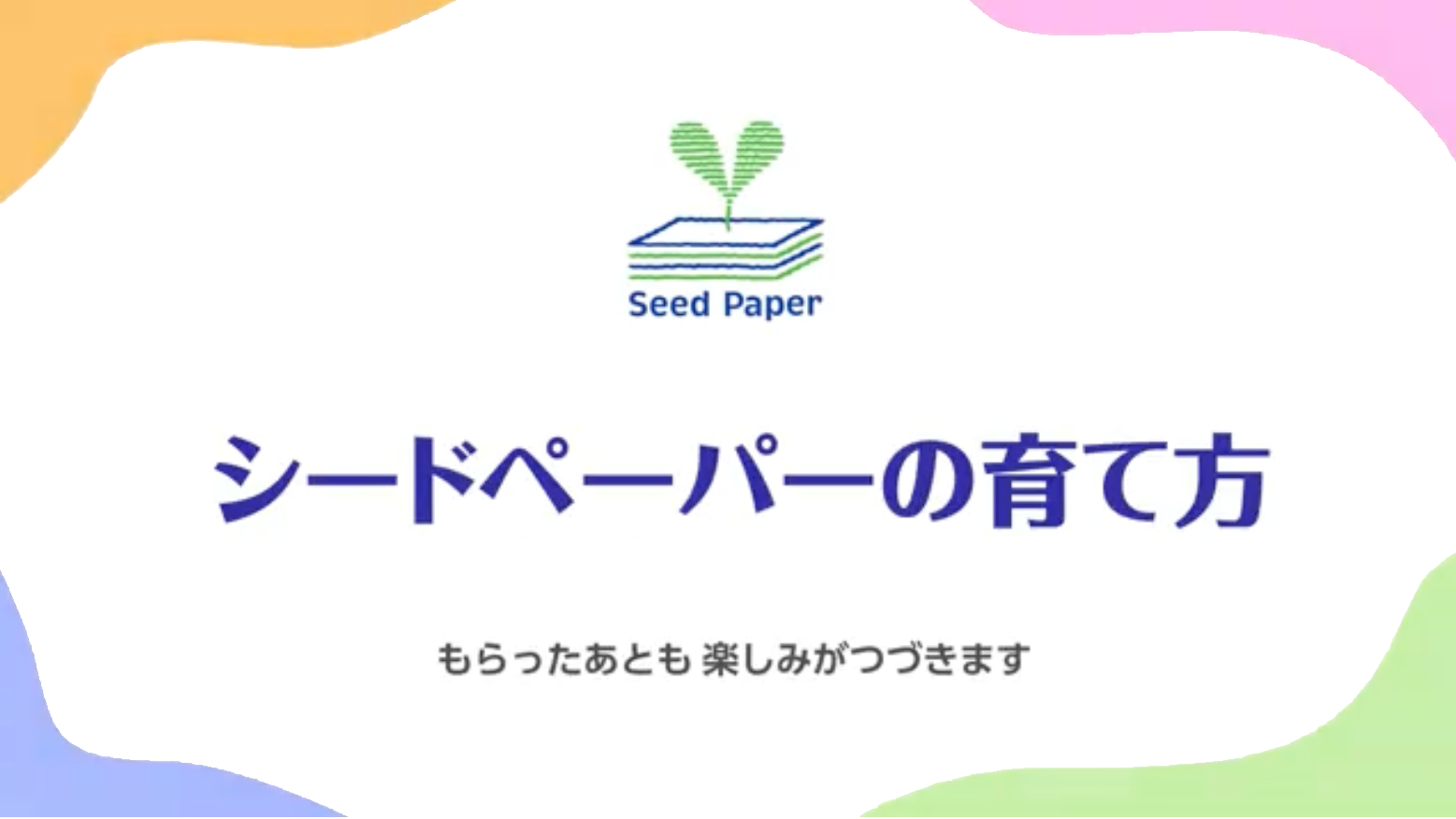 シードペーパーの育て方